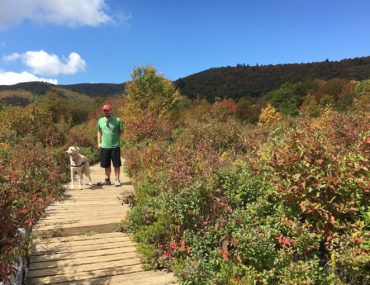 Road Trip: Asheville