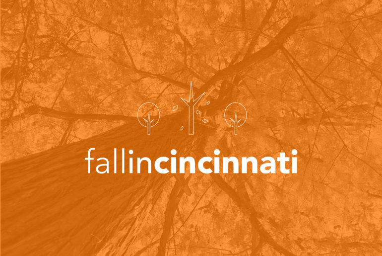 Fall in Cincinnati 2019