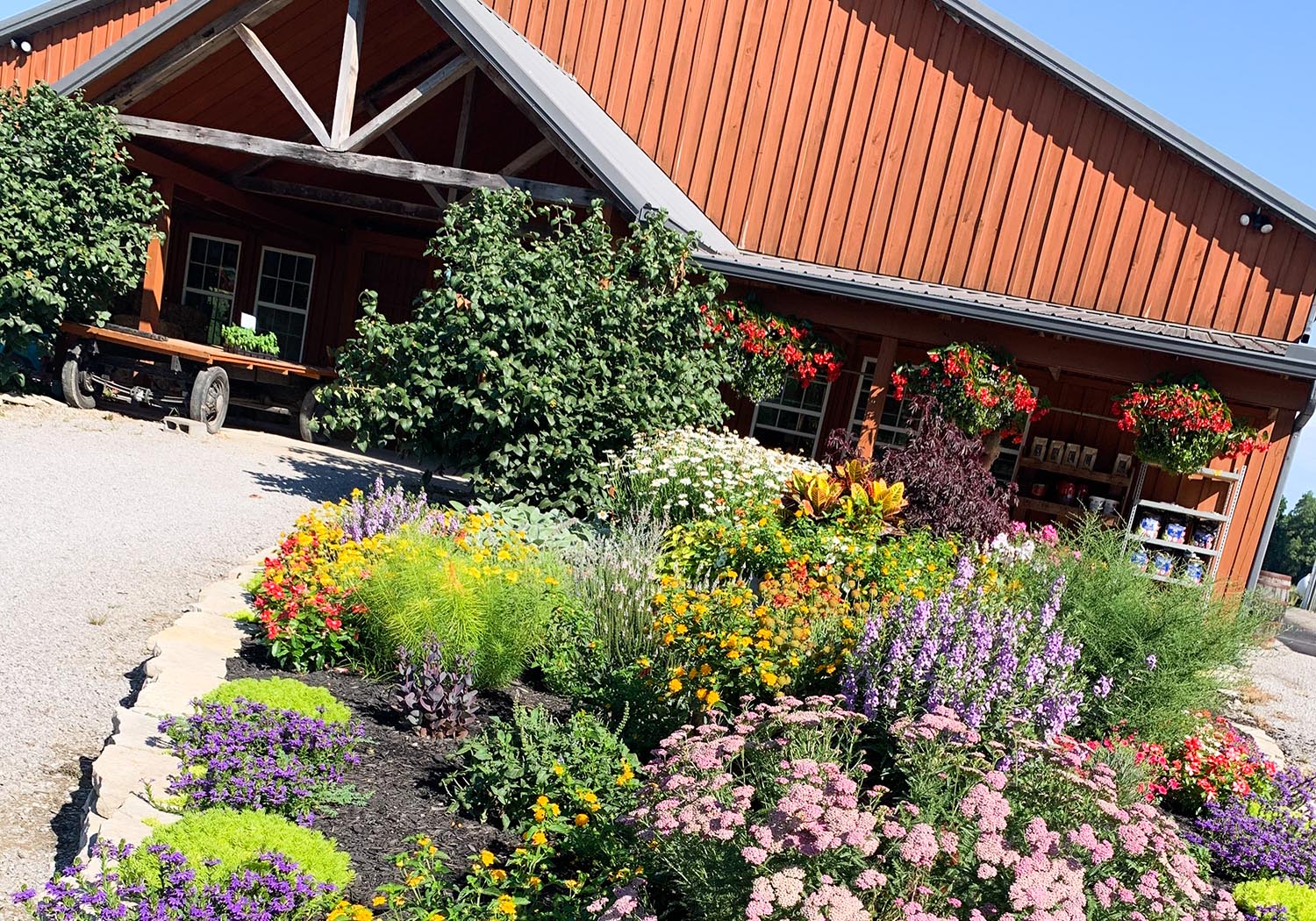 Blooms & Berries Not Just for Fall on the Farm! Tour de Cincinnati