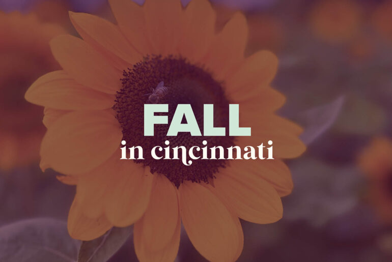 Fall in Cincinnati 2023