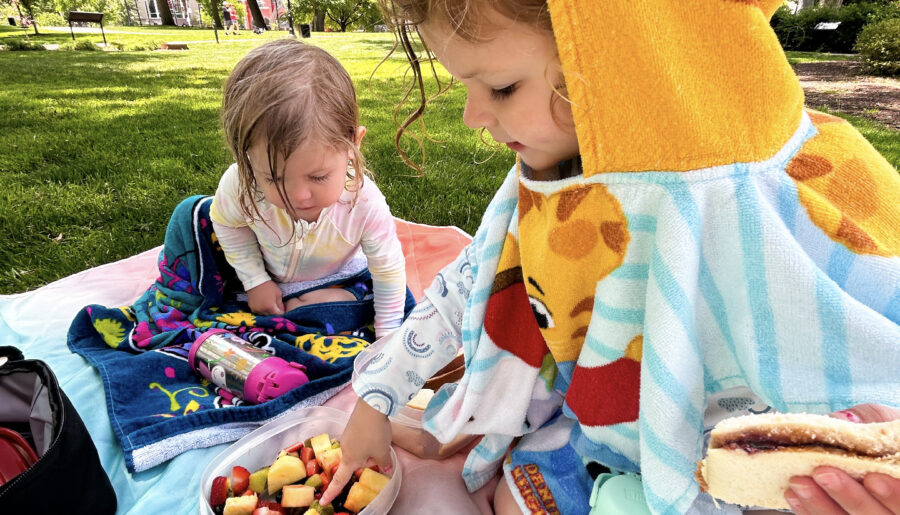 Cincinnati Picnic in the Park Pairings