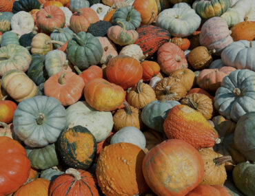 Fall in Cincinnati 2025