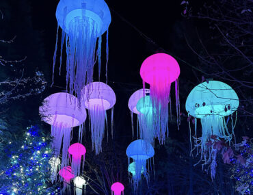 Holidays in Cincinnati 2025