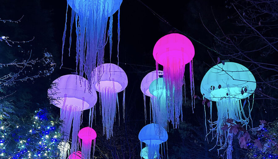 Holidays in Cincinnati 2025